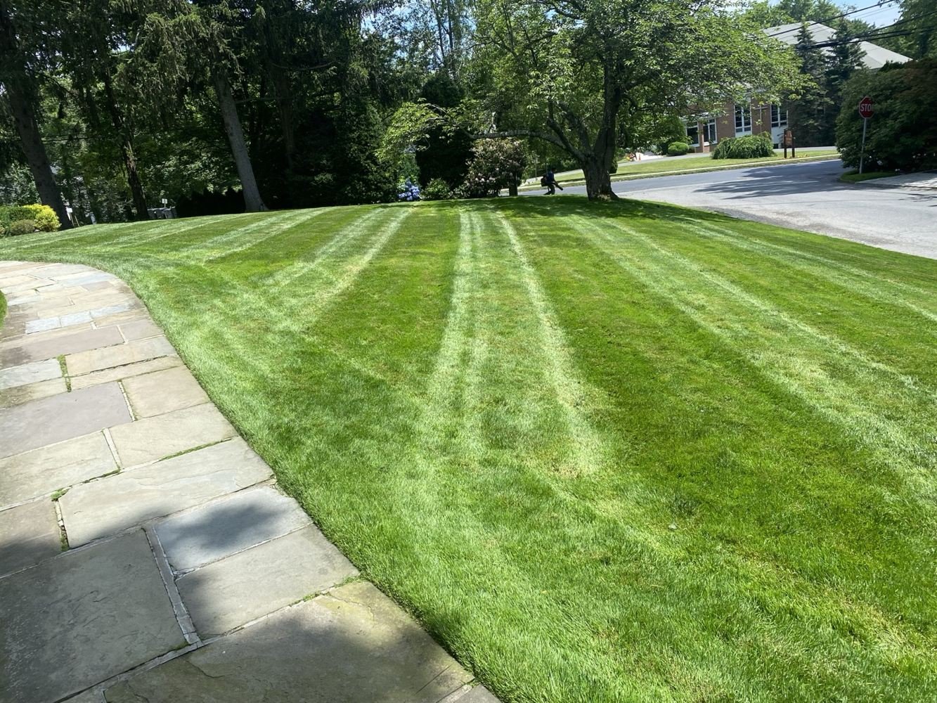 Freshly mowed striped lawn alongside a stone walkway